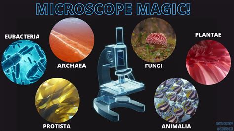 Magic adventures microscopee
